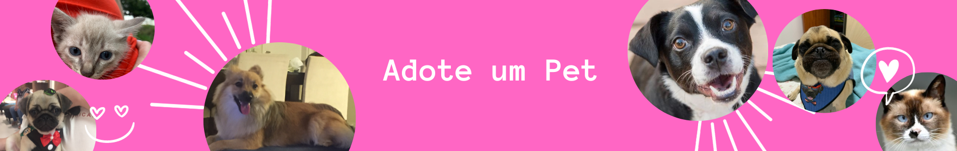 Adote um Pet